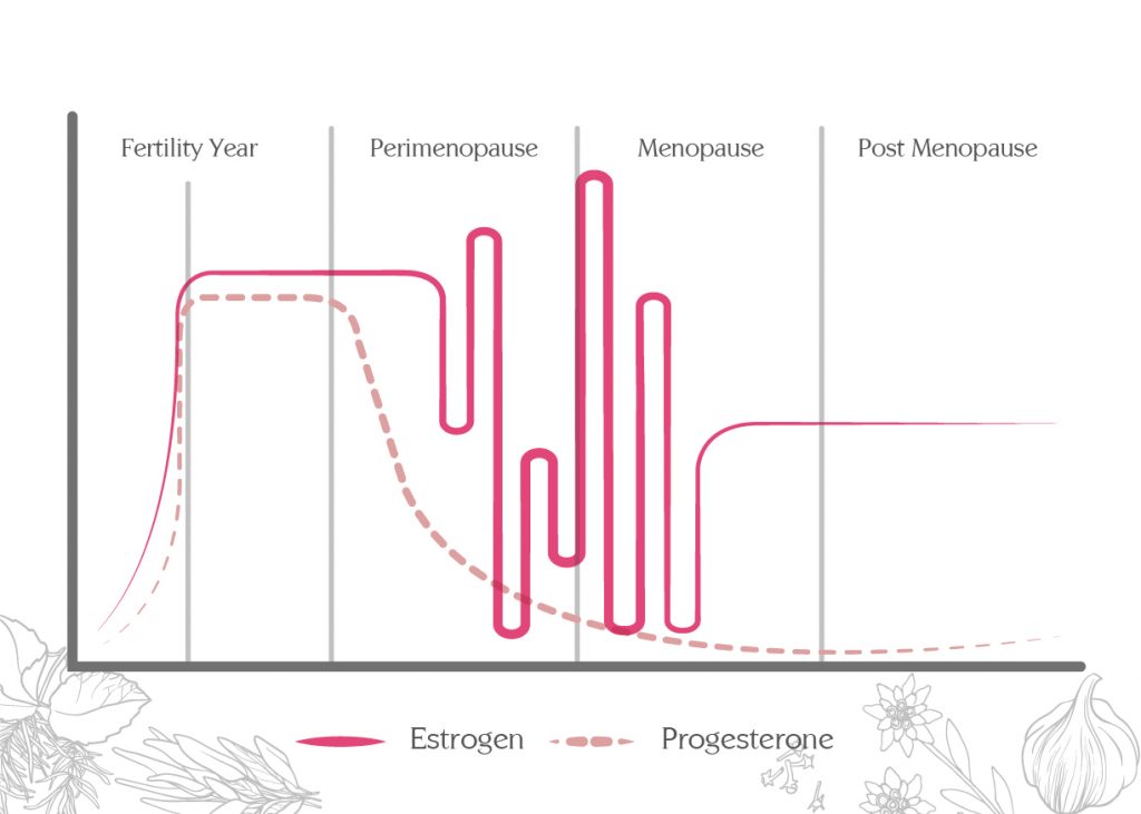 Dance of female hormones at different stages of life